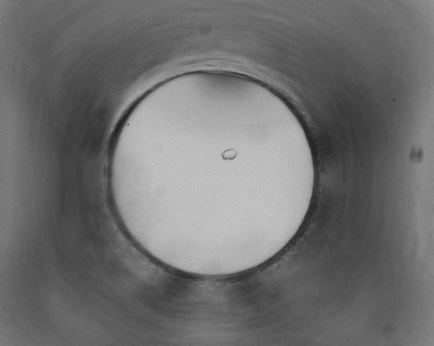 X0000091011514200708021537