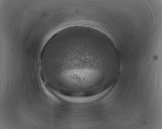 X0000091011515200708021537