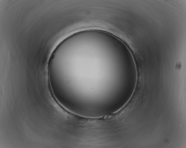 X0000091011516200708021537