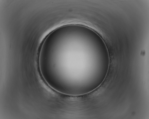 X0000091011518200708021537