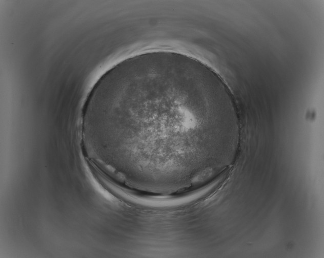 X0000091011519200708021537