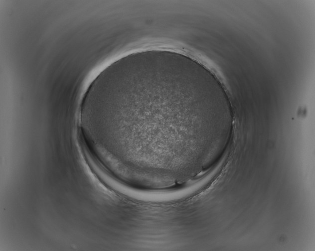 X0000091011520200708021537