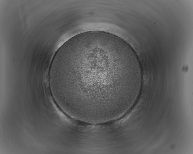 X0000091011521200708021537