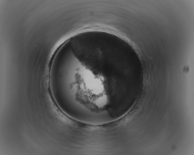 X0000091011522200708021537