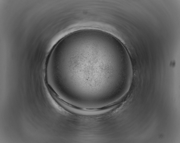 X0000091011523200708021537