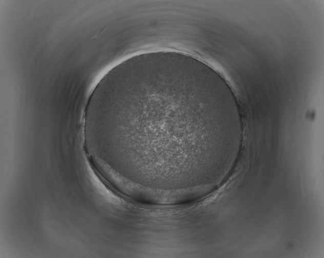 X0000091011524200708021537