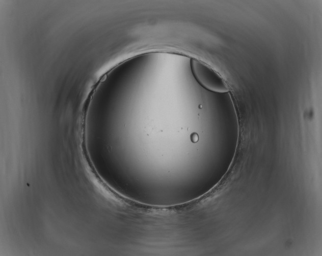 X0000091011526200708021537