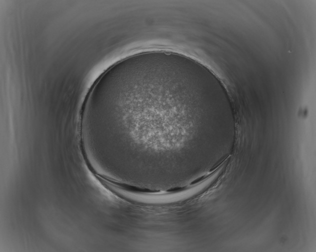 X0000091011527200708021537