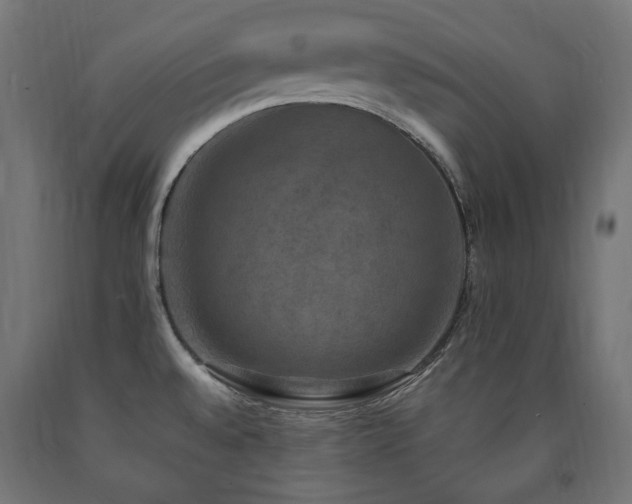 X0000091011528200708021537