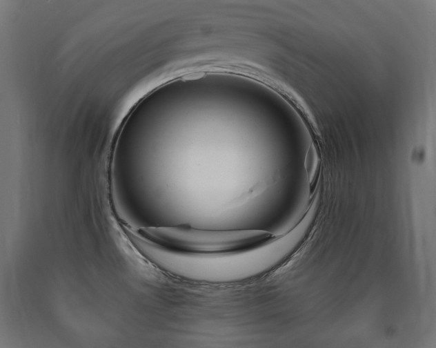 X0000091011530200708021537