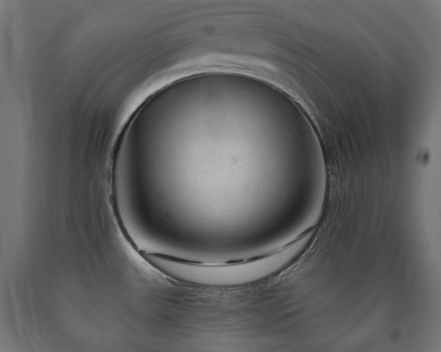X0000091011531200708021537