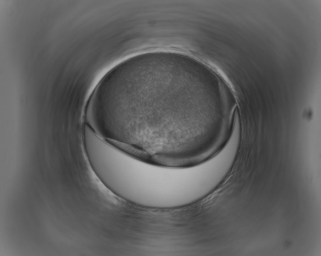 X0000091011532200708021537