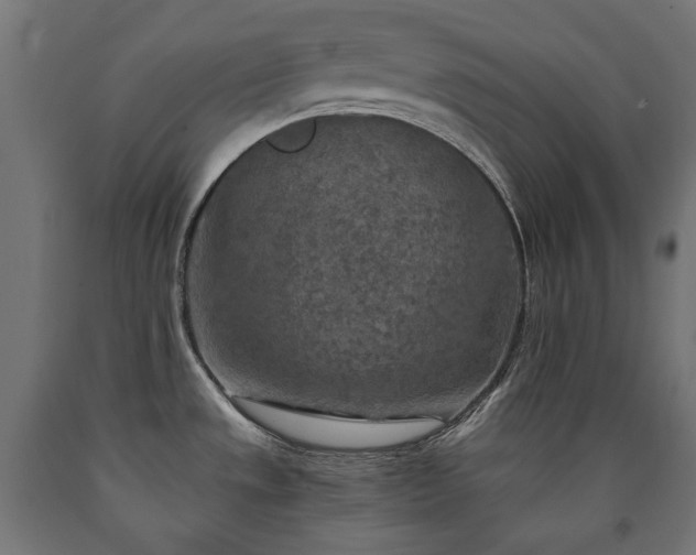 X0000091011533200708021537