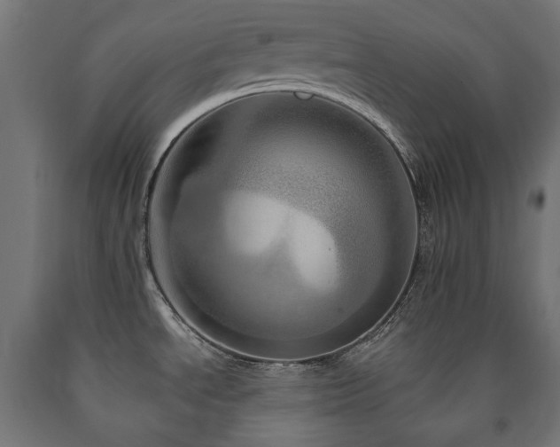 X0000091011534200708021537
