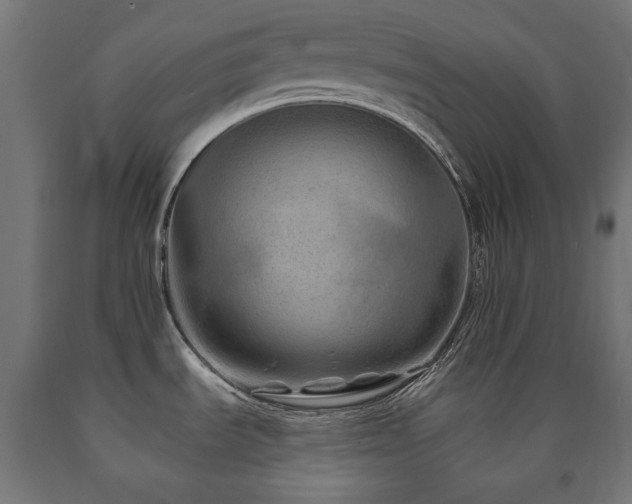 X0000091011535200708021537