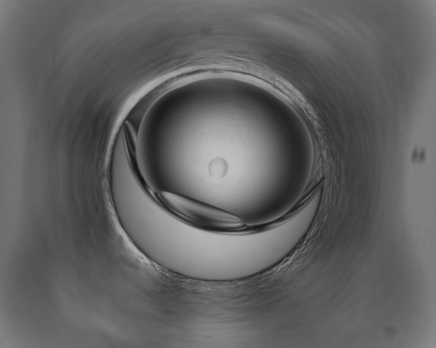 X0000091011536200708021537