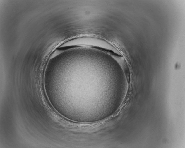 X0000091010001200708091611