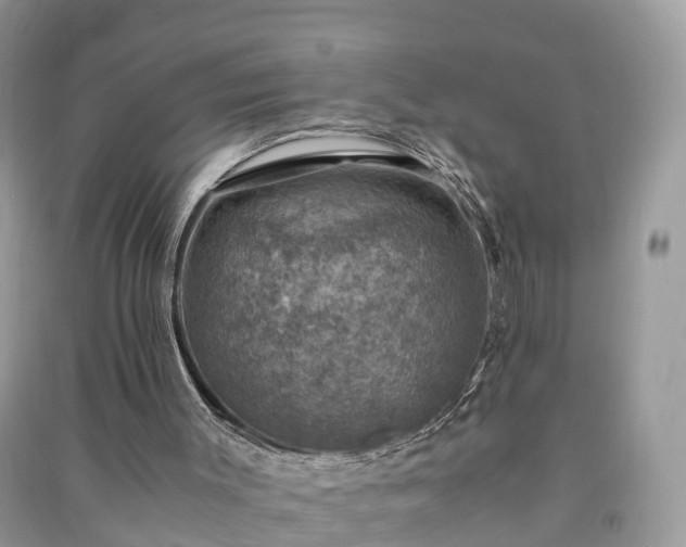 X0000091010003200708091611