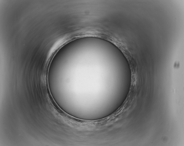 X0000091010004200708091611