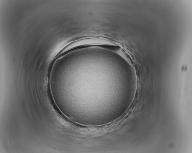 X0000091010005200708091611