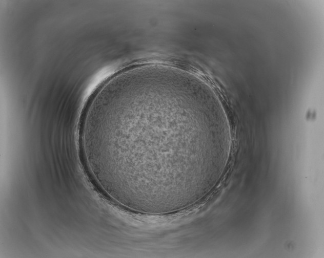 X0000091010006200708091611