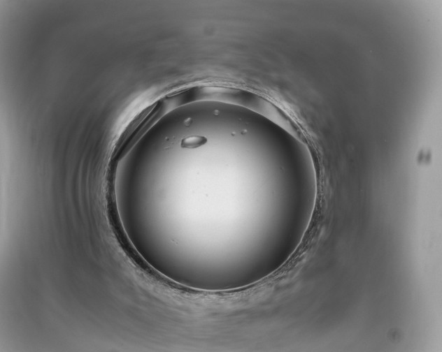 X0000091010007200708091611