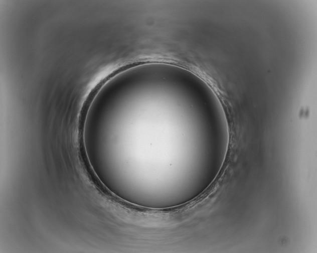 X0000091010008200708091611