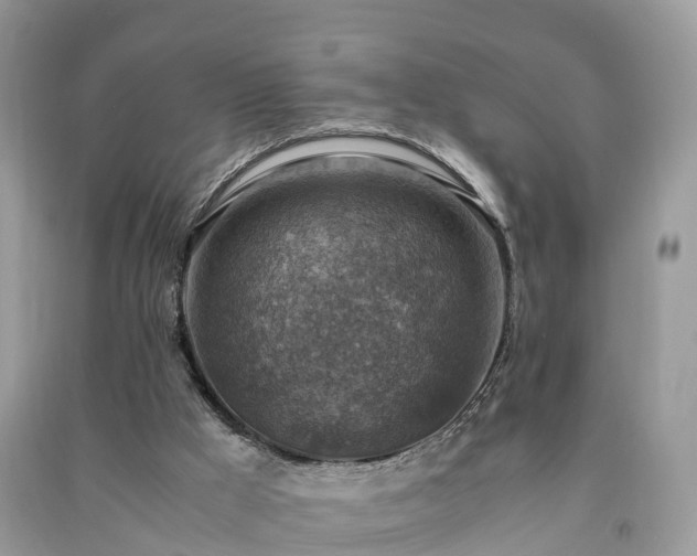 X0000091010009200708091611