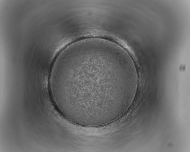 X0000091010010200708091611