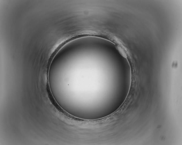 X0000091010011200708091611