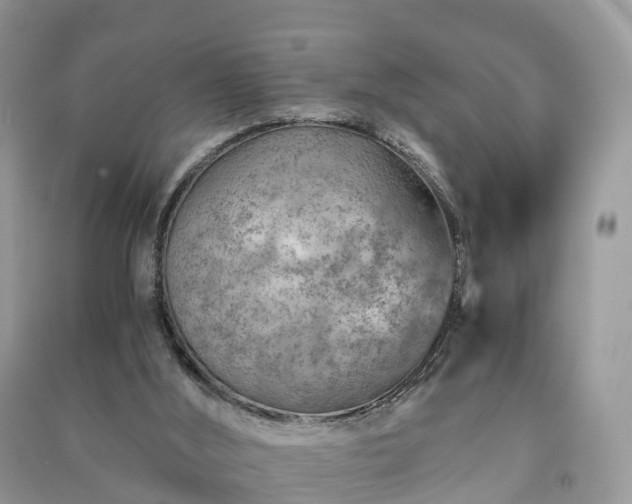 X0000091010012200708091611