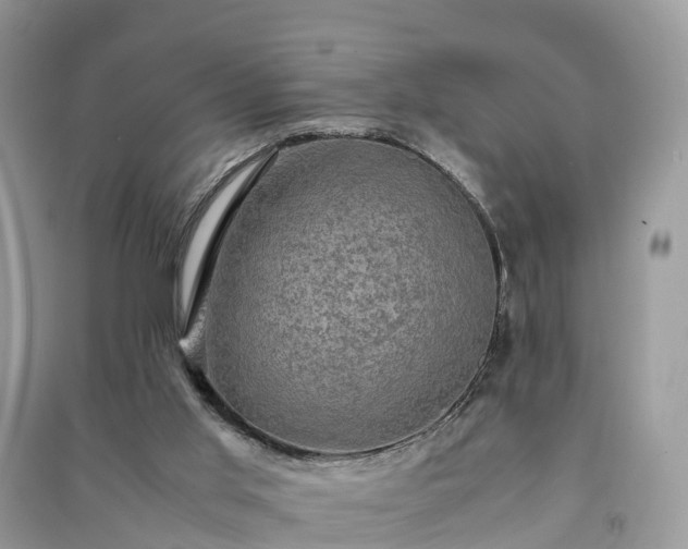 X0000091010013200708091611