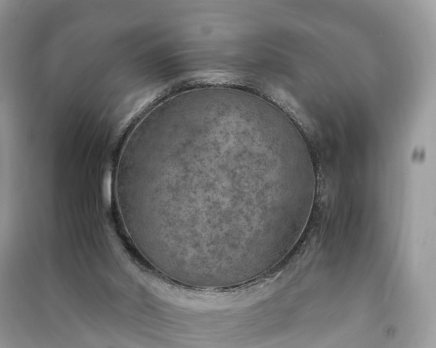 X0000091010014200708091611