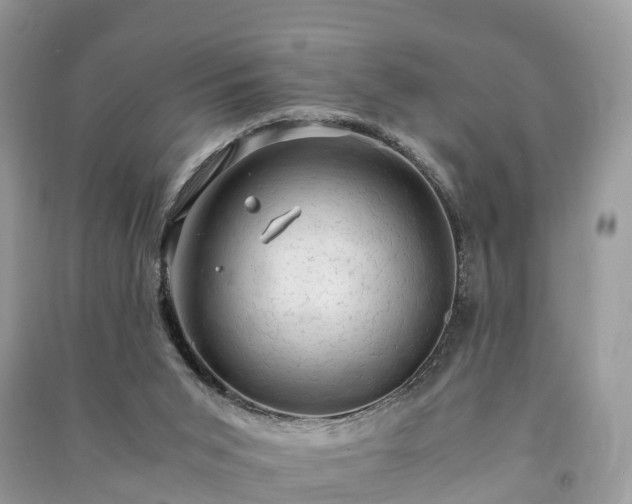 X0000091010015200708091611