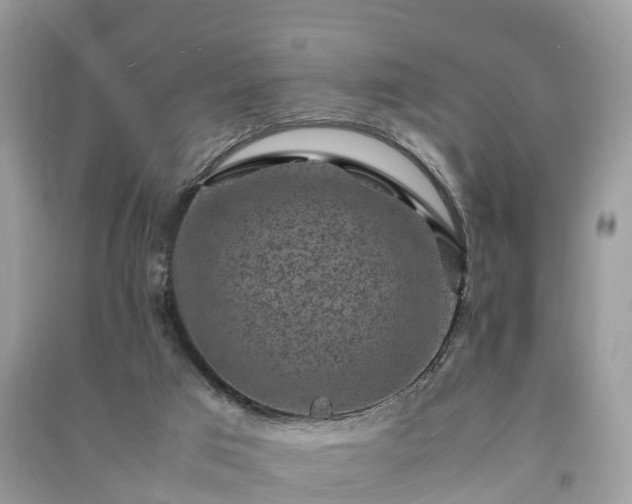 X0000091010017200708091611