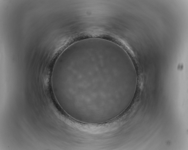 X0000091010018200708091611