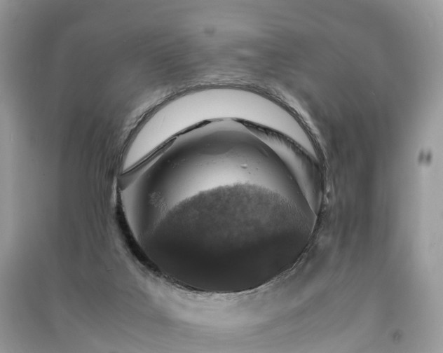 X0000091010019200708091611