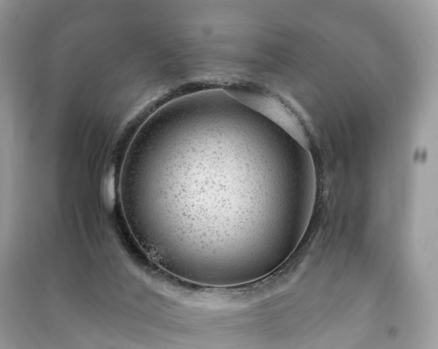 X0000091010020200708091611