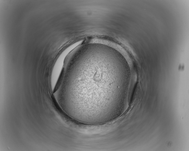 X0000091010021200708091611