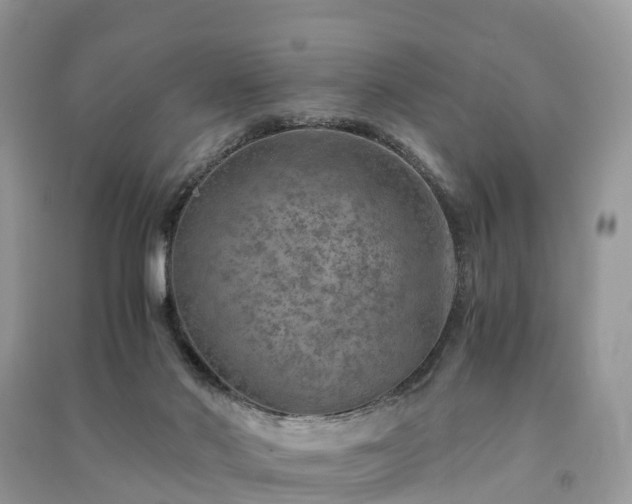 X0000091010022200708091611