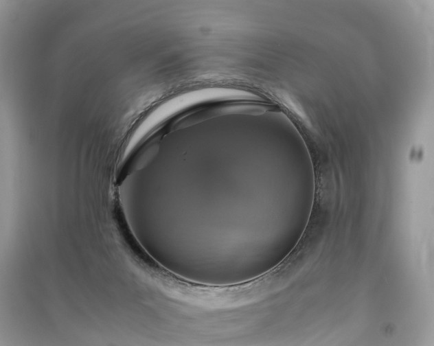 X0000091010023200708091611