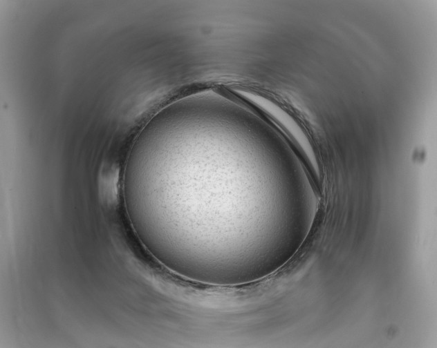 X0000091010024200708091611