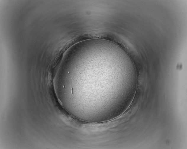 X0000091010025200708091611