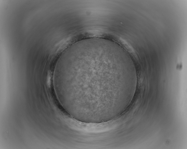 X0000091010026200708091611