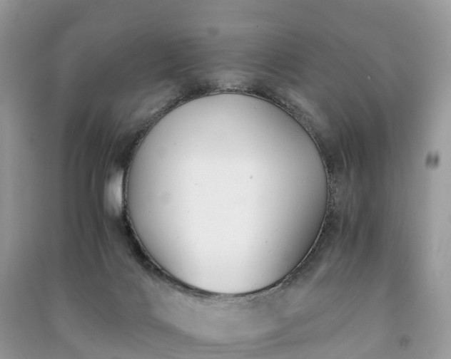 X0000091010028200708091611