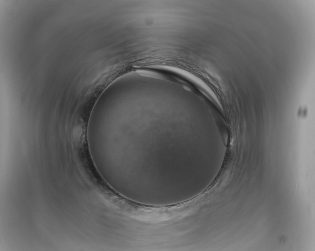X0000091010029200708091611