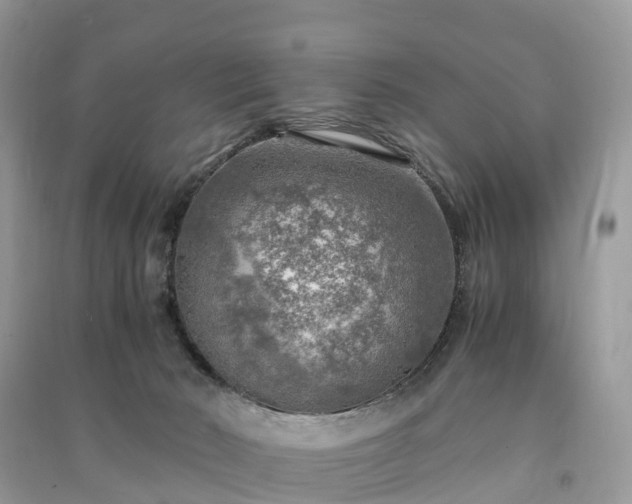 X0000091010030200708091611