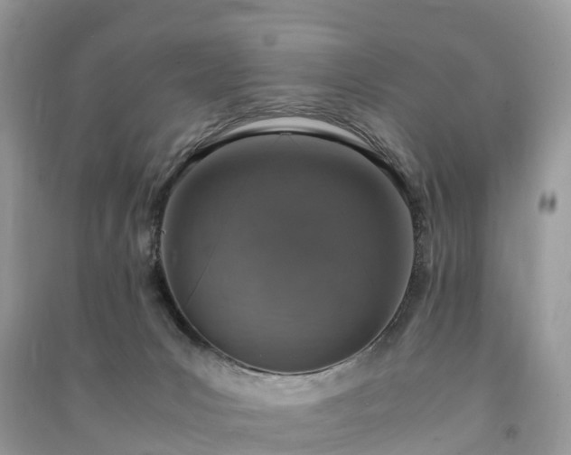 X0000091010031200708091611