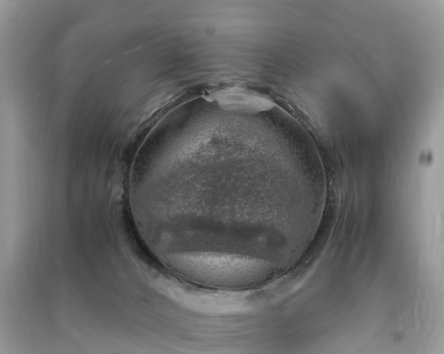 X0000091010032200708091611