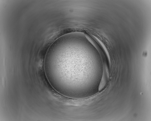X0000091010033200708091611